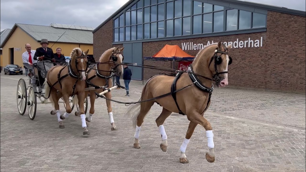 Klavertje drie met Marcel van Bruggen