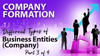 Different Types of Business Entities (Company) - Startup Guide for Entrepreneurs By Nayan Bheda