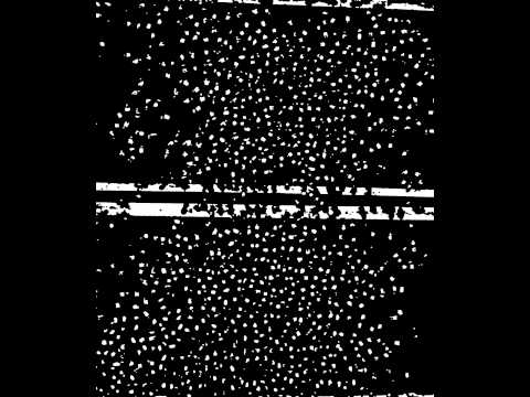 Adaptive threshold and morphology transformations of hive #1