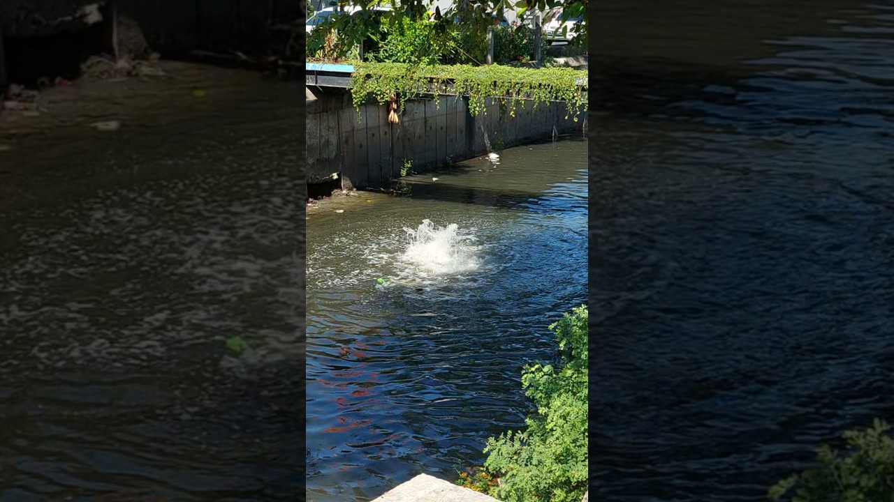 diduga kebocoran gas di rungkut surabaya dari kemarin sampai skrg masih menyembur