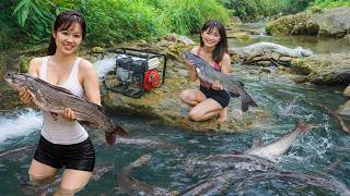 Traditional Fishing Technique – Beautiful Girl catches giant fish in stream