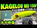 【カゲロウMD156F】水中映像 大人気 シーバスルアー メガバス KAGELOU のミッドダイバー版156CM!