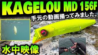 カゲロウMD156F】水中映像 大人気 シーバスルアー メガバス KAGELOU の