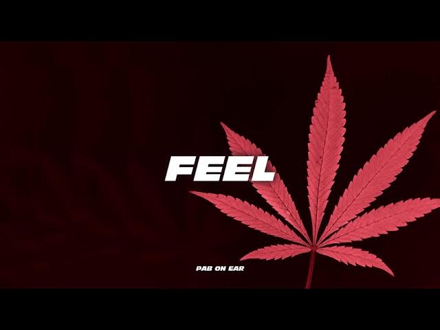 "FEEL" Asian Flute Guitar Type Reggae Beat Fast Flow Trap Rap Beat Instrumental