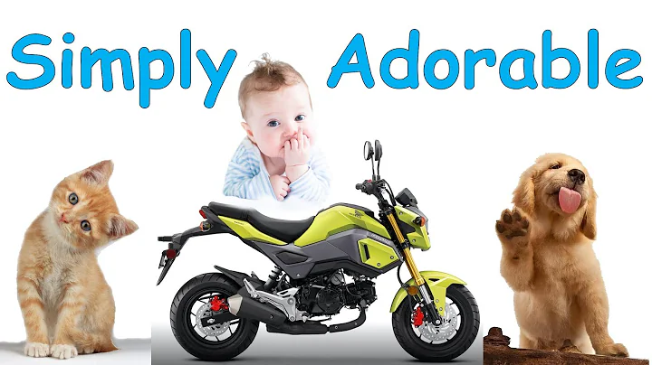 2 Clicks Out: Honda Grom Fully Upgraded Suspension...