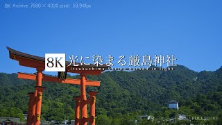 光に染まる厳島神社 [8K footage] Itsukushima Shrine bathed in light