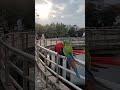 200mil for 1 parrot omg #park #animals #birds #nature #cute #viral