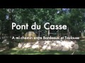 Zorb Happy Forest