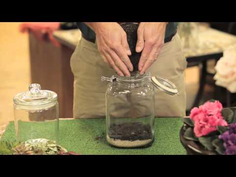 Video: Hoe Om 'n Terrarium Te Maak