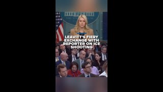 Leavitt shuts down reporter during ICE question: 'You’re a left-wing hack'