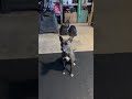 Kaia video