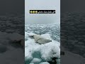 اللي يقول وينك مختفي 