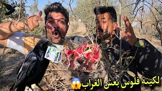 أغرب اكتشاف في الغابة😯 لن تصدق ما وجدناه داخل عش الغراب! 😱💰