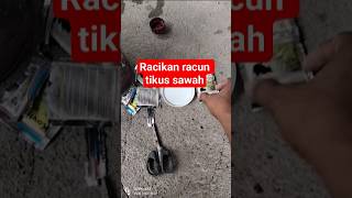 racikan racun tikus sawah