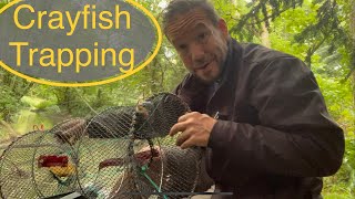 Trapping crayfish Uk, how to trap crayfish, signal crayfish traps and the law,