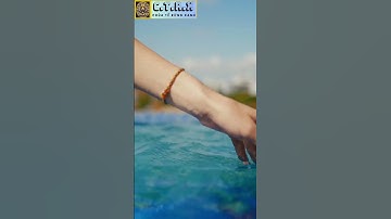 Sự Thật Về Loài Cá Đi Trên Cạn!