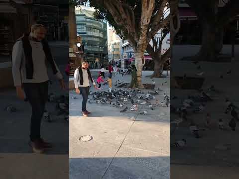 কবুতরবাগ #europe #shorts #shortvideo #viral #viralvideo #reels #funny #short #foryou #youtubeshorts