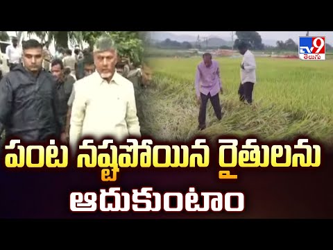 Cyclone Montha Effect : పంట నష్టపోయిన రైతులను ఆదుకుంటాం : AP Ministers - TV9 - TV9
