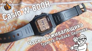 CASIO W-800HG Часы выживальщика - ОБЗОР