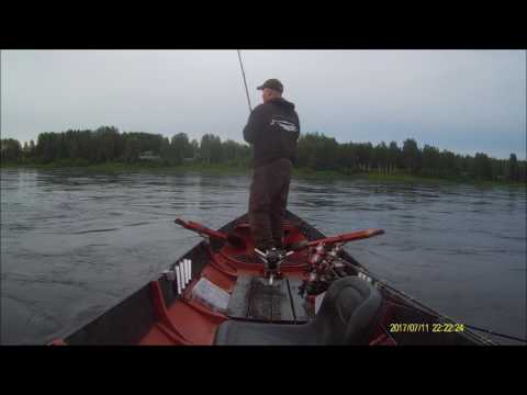 tornionjoki 12 2kg