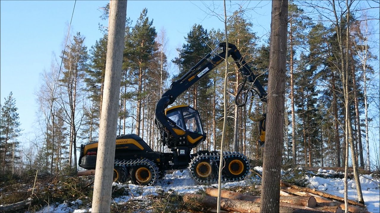 Ponsse Scorpion King + Ponsse Buffalo