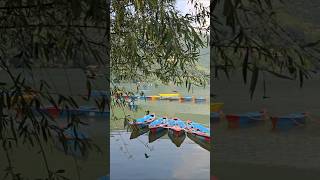Pokhara Lakeside View ✨️ #ytshorts #pokhara #lakeside #algorithm #2026