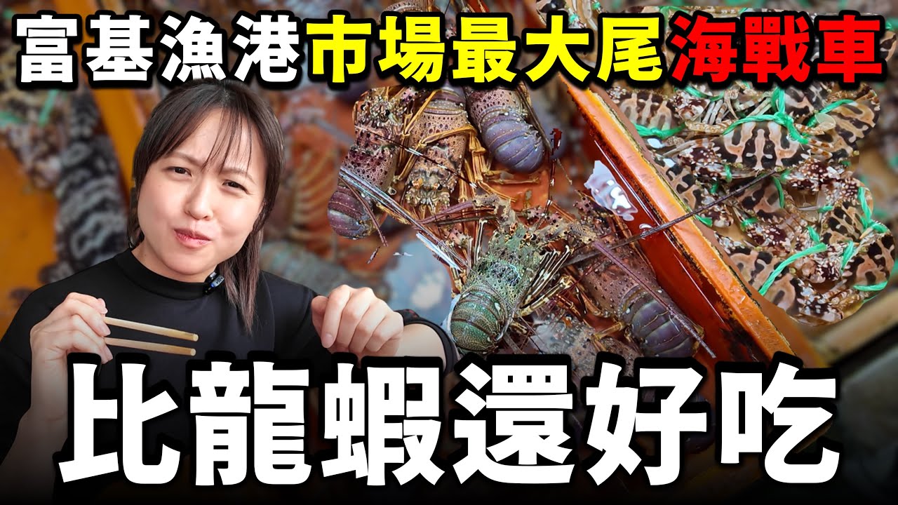 居然還有比錦繡龍蝦更好吃的蝦子？ 一口氣拿下富基漁港最昂貴的ＸＸＸ！活體野生東星石斑一斤$1250，感覺可以試試看！