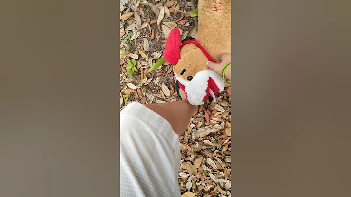 Vlog part 2