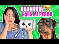 Un Amigo ROBOT para Mi PERRO! Así Reacciona... 😱 Sandra Cires Art y Karim 😂