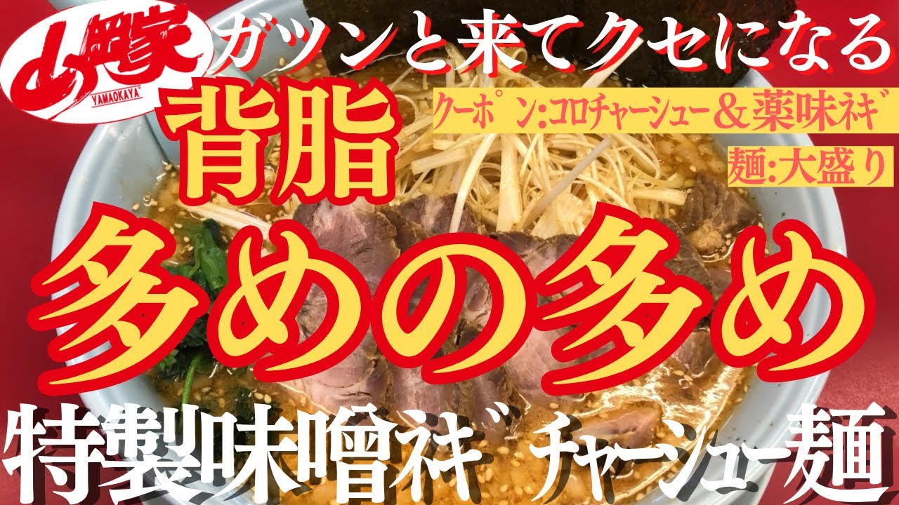 【ラーメン山岡家】大好き特製味噌に背脂をたっぷりで堪能☺️白髪ﾈｷﾞとﾁｬｰｼｭｰで至福の一杯(●´ω｀●)♪【岐阜 ラーメン】