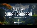 Surah Al Baqarah Full سورة البقره Relaxing Heart Touching Voice Zikrullah TV