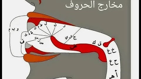 تصحيح الايات من 52 الى 57 من سورة آل عمران  لطلاب الصف الاول الثانوى الازهري