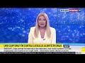 Un urs a fost tranchilizat și capturat în curtea unui liceu din Sibiu
