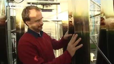 Microalgae  Producing Energy Through Emissions | Tomorrow Today