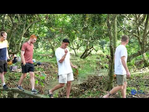 Video Homestay Sáu Vân - youtube