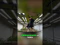 Cultivo Interior Transforma tu Espacio con Plantas