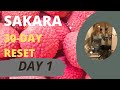 Sakara Day 1- My 30 Day Weight Loss Challenge