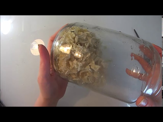 Как приготовить рыбий клей. Мой рецепт.