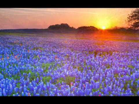 Musiques du monde - Under a Starry Sky