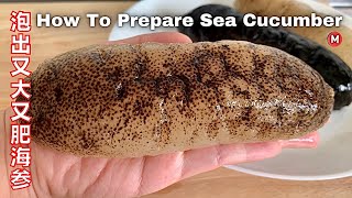 How to soak Sea Cucumber 教您如何泡出又大又肥的海参，海参泡发方法，如何处理海参 |