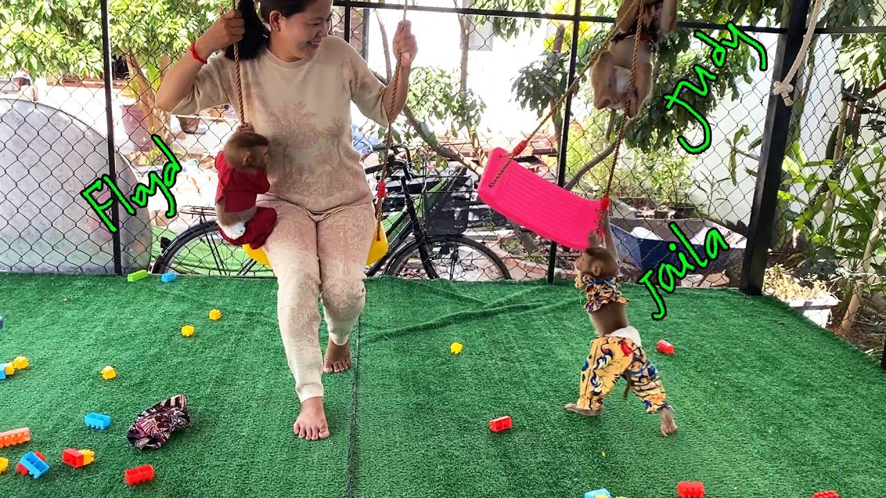 Energetic JJ''s & Flloyd Happy Play In Their Private Playground