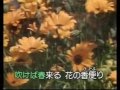 喜びも悲しみも幾歳月