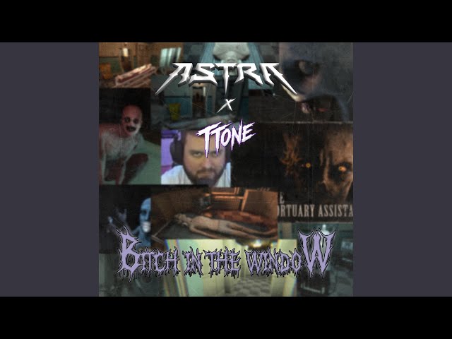 Bitch in the Window (feat. TTone)