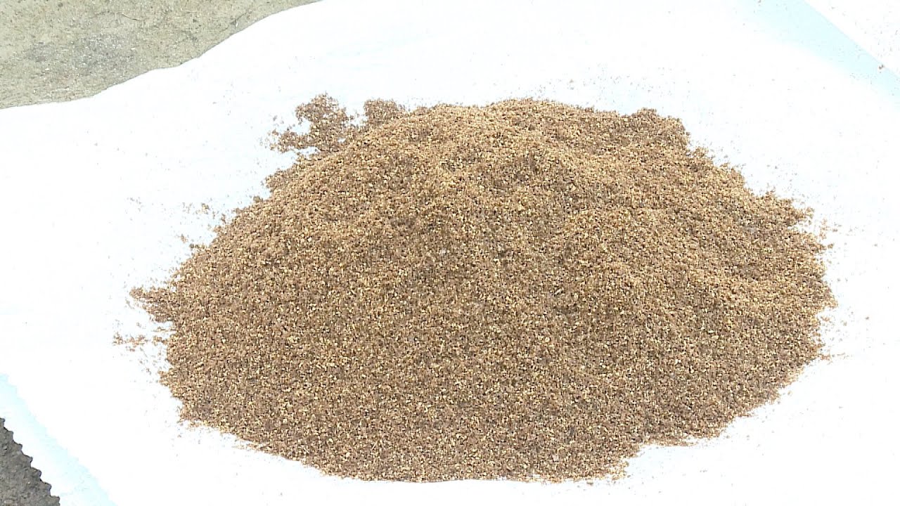 Desidratado proteico de peixes: solução sustentável para piscicultura