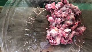 cara mudah membuat varanus obes/ kegemukan,di jamin mudah di pahami