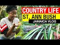 COUNTRY LIFE IN RURAL JAMAICA | JAMAICA VLOG