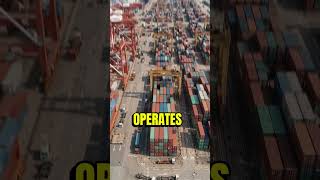 ⚓ This Port Uses Giant Automated Cranes to Move Containers