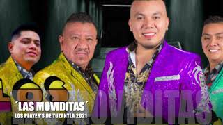 Video thumbnail of "LOS PLAYER'S DE TUZANTLA - LAS MOVIDITAS"