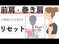 前肩・巻き肩の原因筋をリセット【筋膜リリース】ストレッチ