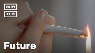Why Does Weed Makes Some People Paranoid? | FAQs | NowThis